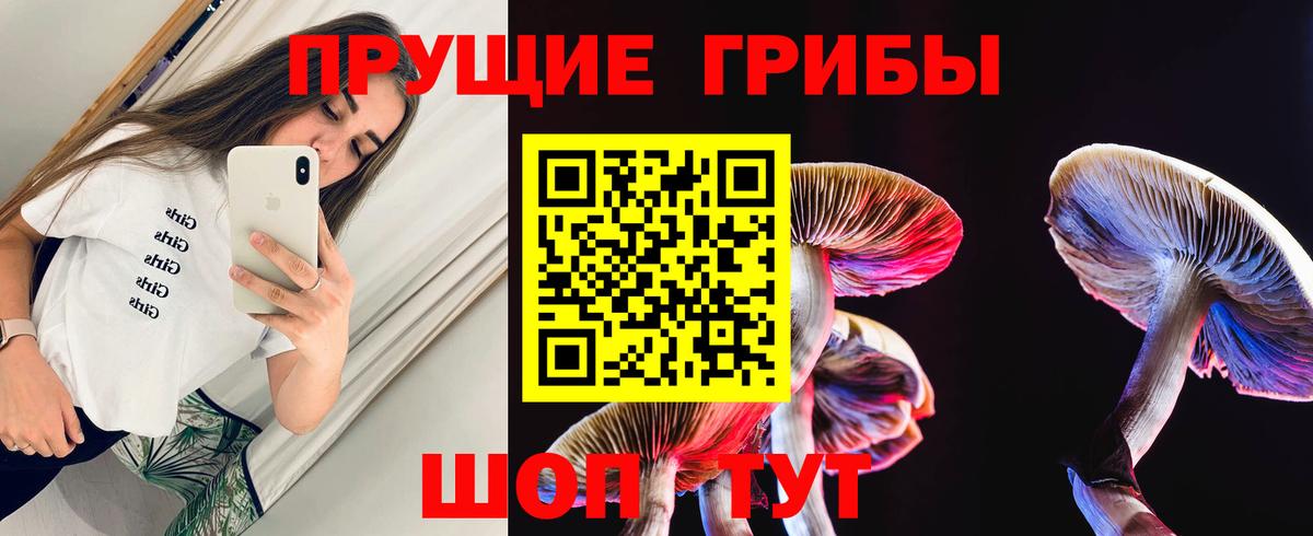 Псилоцибиновые грибы мицелий  купить  сайты  Ленинск-Кузнецкий  Вход с VPN 