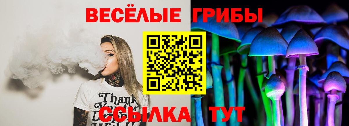 Галлюциногенные грибы ЛСД Ленинск-Кузнецкий